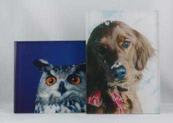 Acrylglas Bild 10,5 x 14,8 